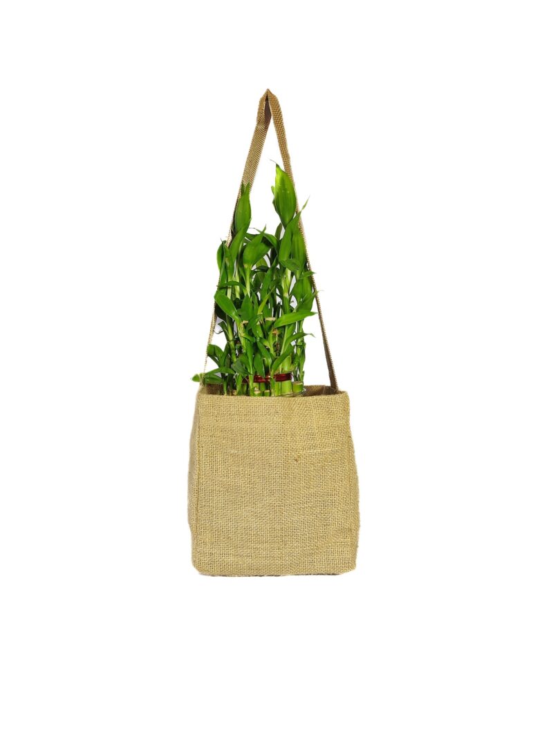 JUTE CARRY BAG FOR PLANTS